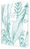 DIARY 2023 COLLINS TA151.11 A5 TARA DTP WHITE